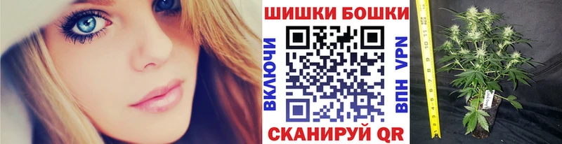 продажа наркотиков  Шуя  нарко площадка наркотические препараты  Канабис THC 21% 